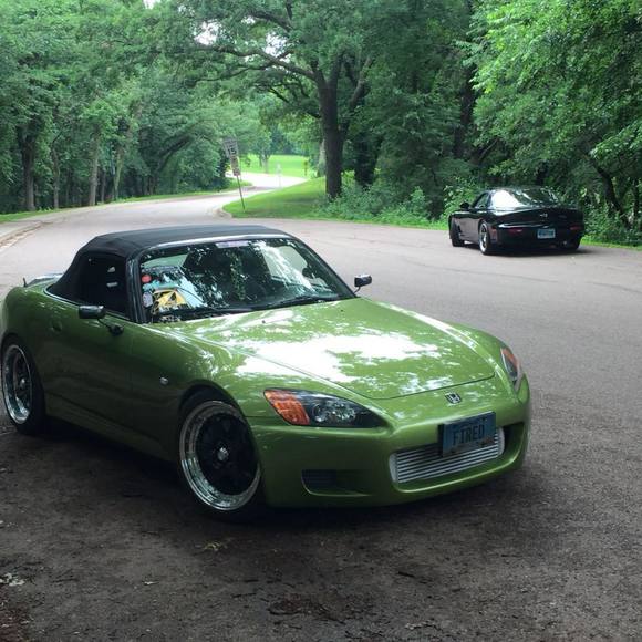 Meet your Posher, Errol - Picture 1 of 1